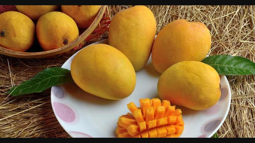 Multan Mangoes online- Dream Mangoes - buy Pakistani Mangoes